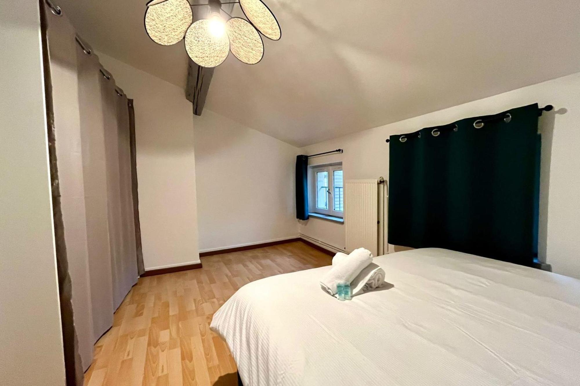 Le Duplex Des Dames Apartment Nancy Bagian luar foto
