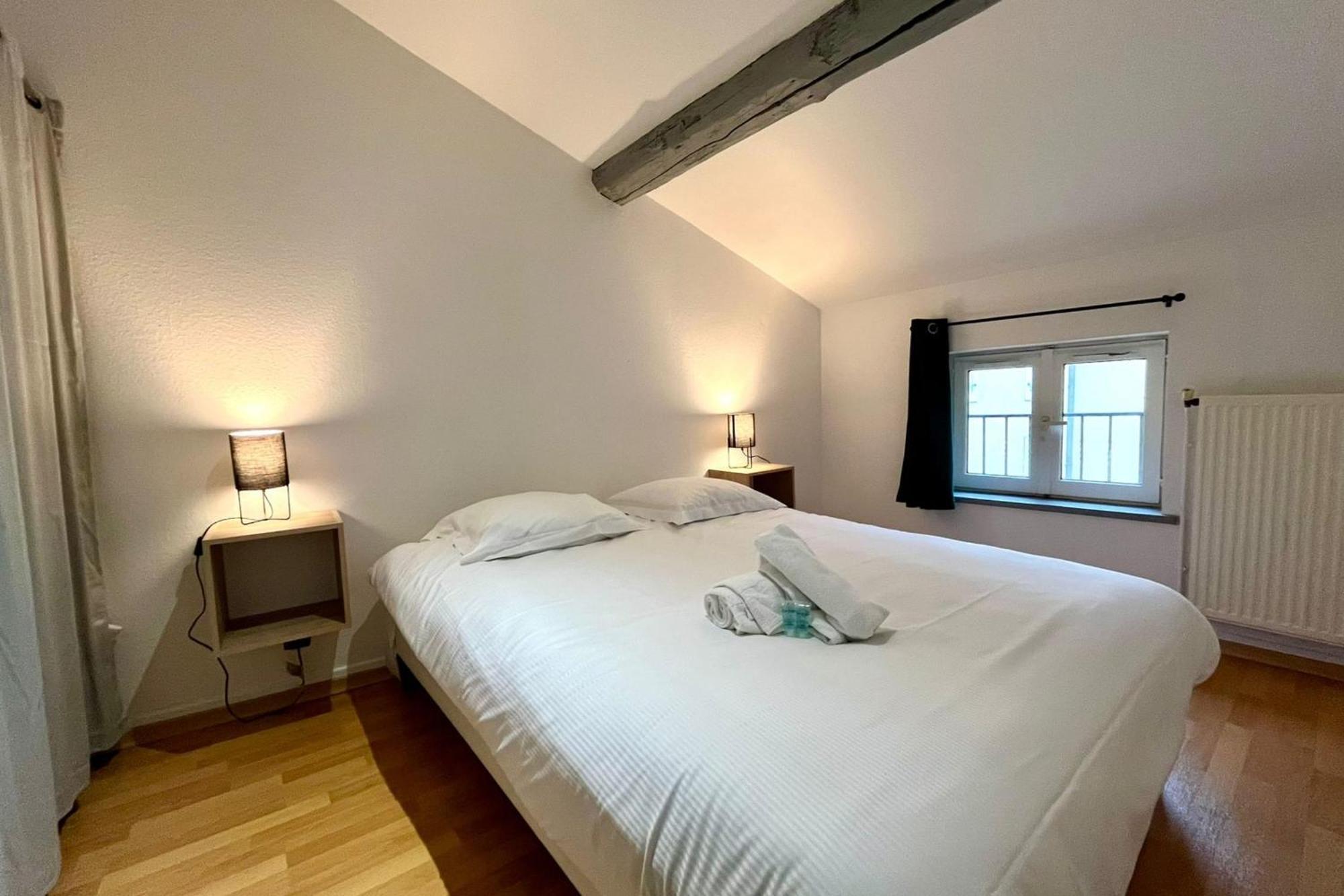 Le Duplex Des Dames Apartment Nancy Bagian luar foto